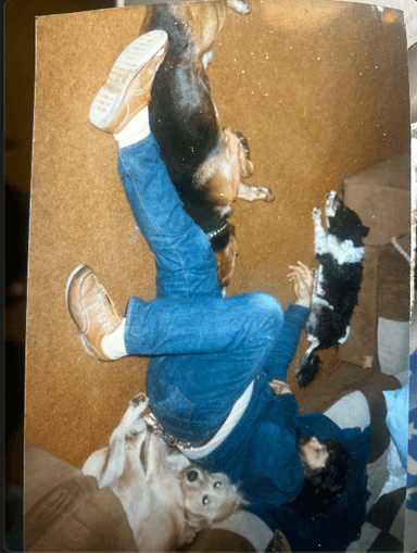 Billy with rescue dogs 1